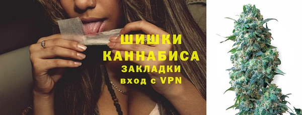 амф Аркадак