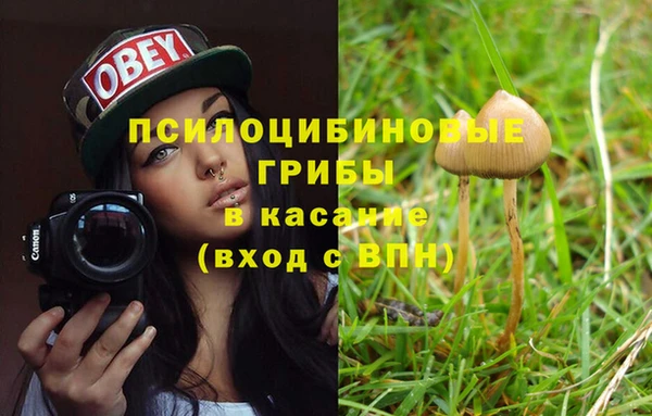 мескалин Арсеньев